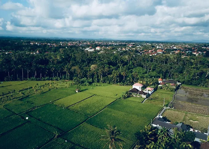 Sari Padi House